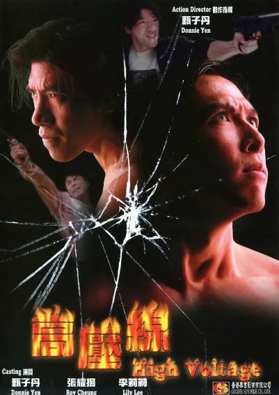 [香港电影]《亚洲警察之高压线》（1995年）[夸克网盘]-醉都音影视资源网