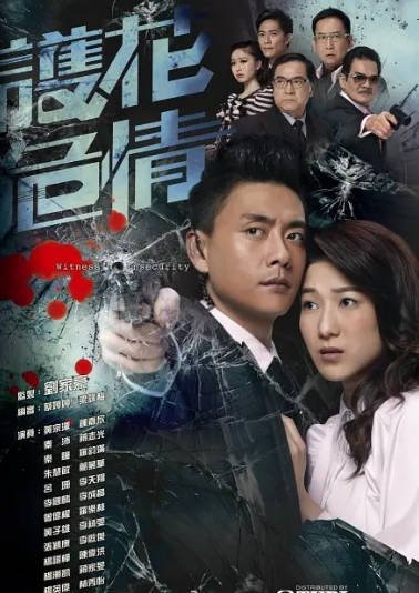 [香港电视剧]《护花危情》（2012年）[夸克网盘]-醉都音影视资源网
