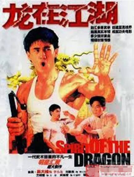 [香港电视剧]《李小龙传》（1992年）[夸克网盘]-醉都音影视资源网