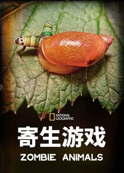 [纪录片]《寄生游戏》（2012年）[夸克网盘]-醉都音影视资源网