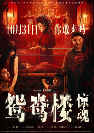 《鸳鸯楼惊魂》[2024年][悬疑 惊悚 恐怖][夸克网盘][内附中字]-夸克网盘影视资源站