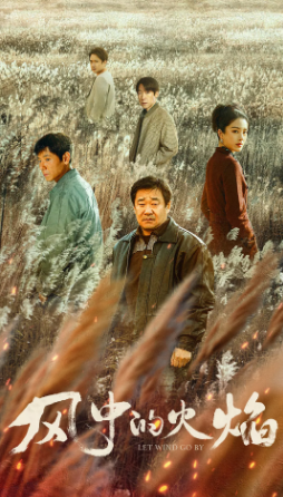 [国剧]《风中的火焰》[2024年][悬疑 犯罪][夸克网盘][内附中字][评分6.2]-夸克网盘影视资源站