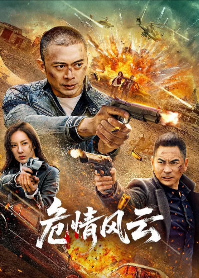 [国产动作片]《危情风云》（2025年）[夸克网盘]-夸克网盘影视资源站