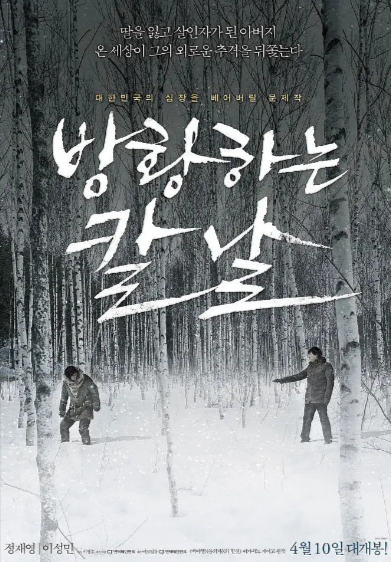 [韩国电影]《彷徨之刃》（2014年）[夸克网盘]-夸克网盘影视资源站