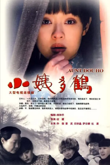 [国产剧]《小姨多鹤》（2009年）[夸克网盘]-夸克网盘影视资源站