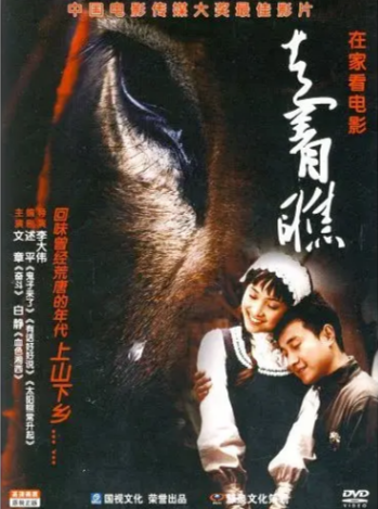 [国产电影]《走着瞧》（2009年）[夸克网盘]-夸克网盘影视资源站