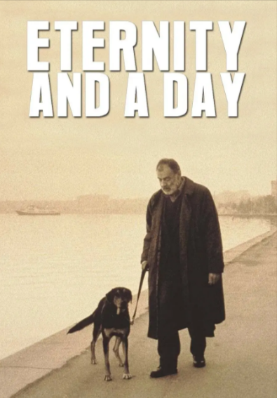 [法国电影]《永恒和一日》（1998年）[夸克网盘]-夸克网盘影视资源站
