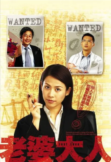 [香港电视剧]《老婆大人》（共2季）（2005-2009年）[夸克网盘]-夸克网盘影视资源站