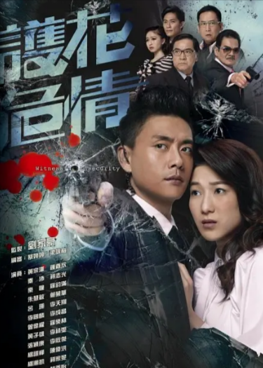 [香港电视剧]《护花危情》（2012年）[夸克网盘]-夸克网盘影视资源站
