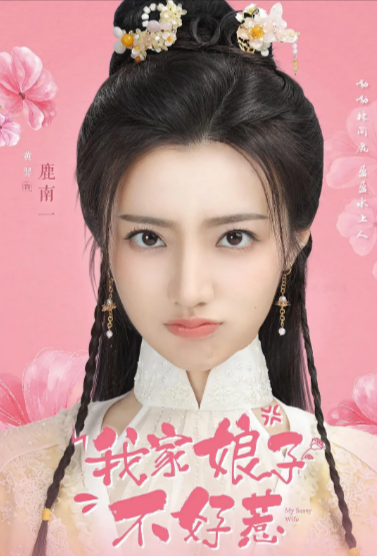 [国产剧]《我家娘子惹不起》（2024年）[夸克网盘]-夸克网盘影视资源站