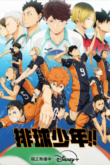 [日本动画]《排球少年》（共4季+剧场版）（2014-2024年）[夸克网盘]-夸克网盘影视资源站