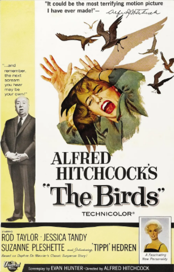 [美国电影]《群鸟》（1963年）[夸克网盘]-夸克网盘影视资源站