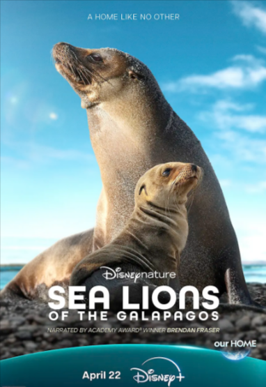 [纪录片]《海狮利奥环岛记》（2025年）[夸克网盘]-夸克网盘影视资源站