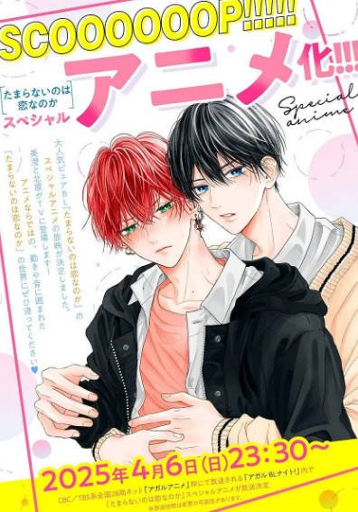 [日本电影]《无法抑制之情是否唤作爱》（2025年）[夸克网盘]-夸克网盘影视资源站