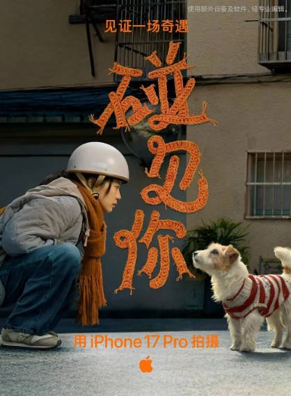 [国产短片]《碰见你》（2026年）[夸克网盘]-夸克网盘影视资源站