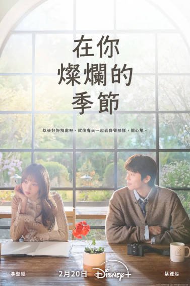 [韩国电视剧]《在你灿烂的季节》（2026年）[夸克网盘]-毒舌电影最抖音