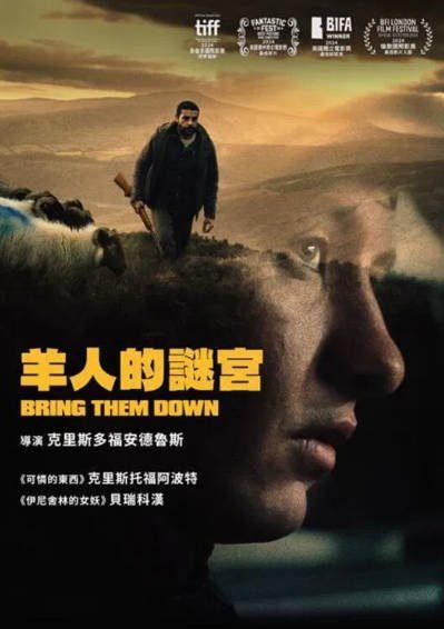 [爱尔兰电影]《打倒他们》（2024年）[夸克网盘]-毒舌电影最抖音