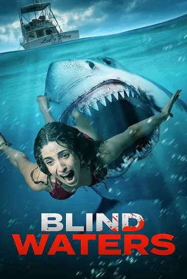 [美国电影]《盲水》（2023年）[夸克网盘]-夸克网盘影视资源站