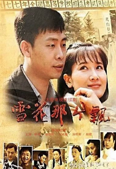 [国产剧]《雪花那个飘》（2011年）[夸克网盘]-夸克网盘影视资源站