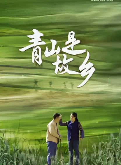 [国产剧]《青山是故乡》（2025年）[夸克网盘]-毒舌电影最抖音