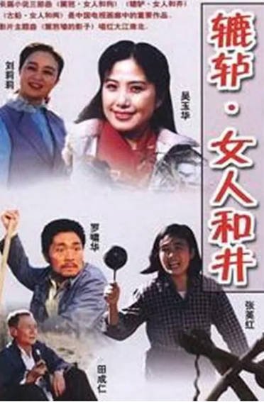 [国产剧]《辘轳·女人和井》（1991年）[夸克网盘]-毒舌电影最抖音