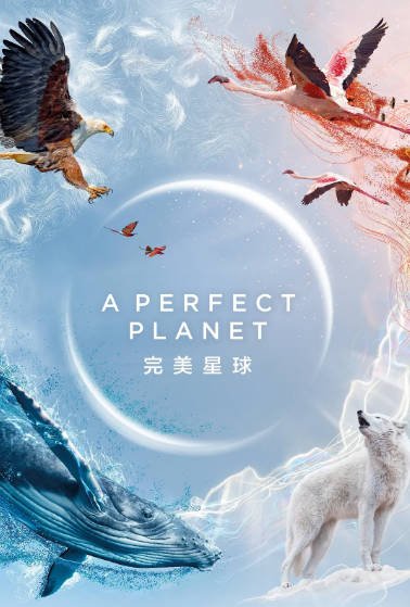 [纪录片]《完美星球》（2021年）[夸克网盘]-醉都音影视资源网