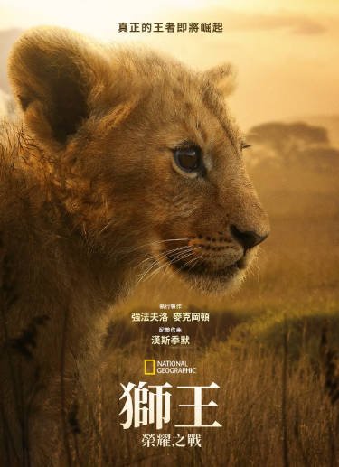 [纪录片]《狮王：荣耀之战》（2026年）[夸克网盘]-醉都音影视资源网