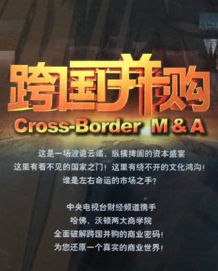 [纪录片]《跨国并购》（2011年）[夸克网盘]-醉都音影视资源网