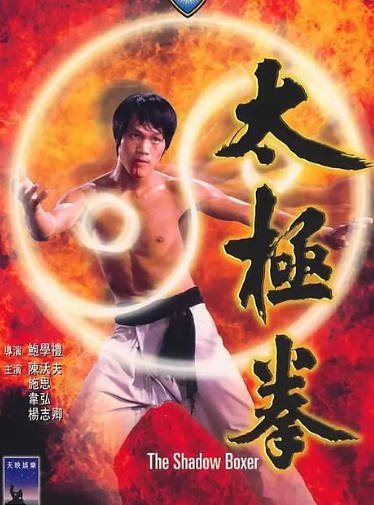 [香港电影]《太极拳》（1974年）[夸克网盘]-醉都音影视资源网