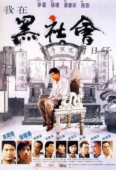 [香港电影]《我在黑社会的日子》（1989年）[夸克网盘]-醉都音影视资源网